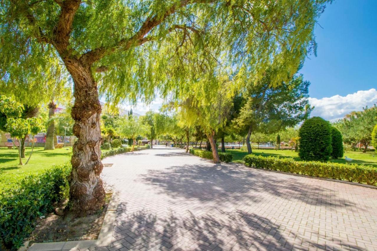 Apartamentos Villa Madrid Torrevieja Zewnętrze zdjęcie